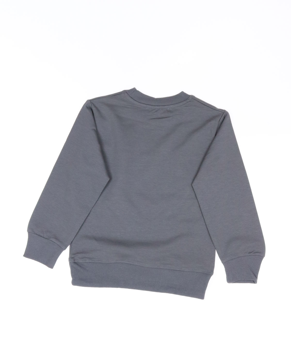 FIRST KIDS 2051 Свитшот FIRST KIDS 2051 Свитшот фото