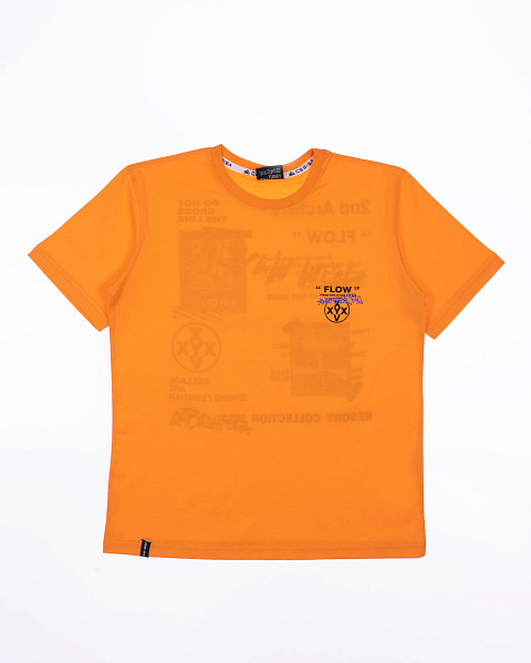 2024_02_13_0085116 2024_02_13_0085116