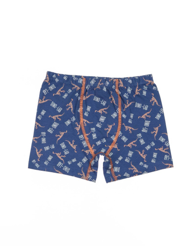 BAYKAR Боксеры 3584 фото